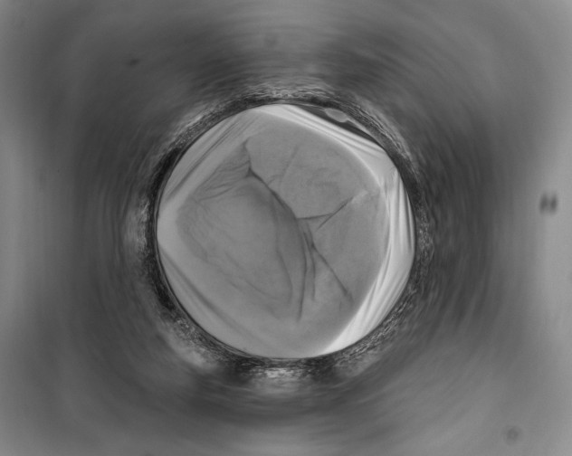 X0000099450163200806061114