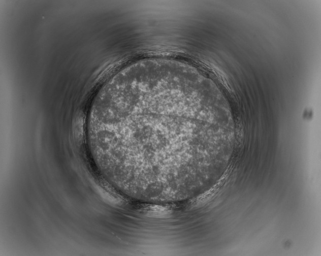 X0000099450166200806061114