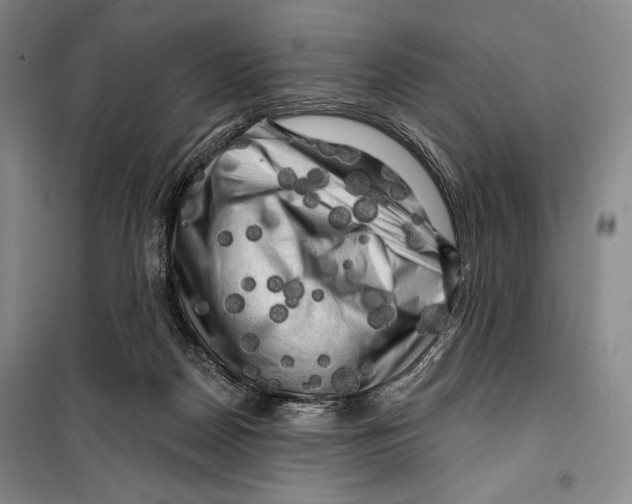 X0000099450170200806061114