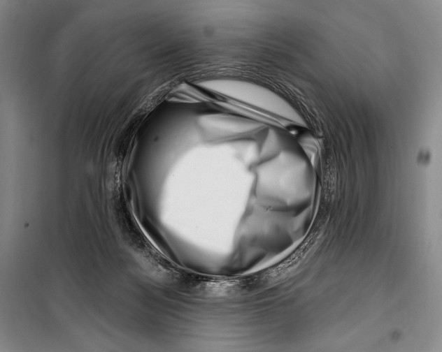 X0000099450172200806061114