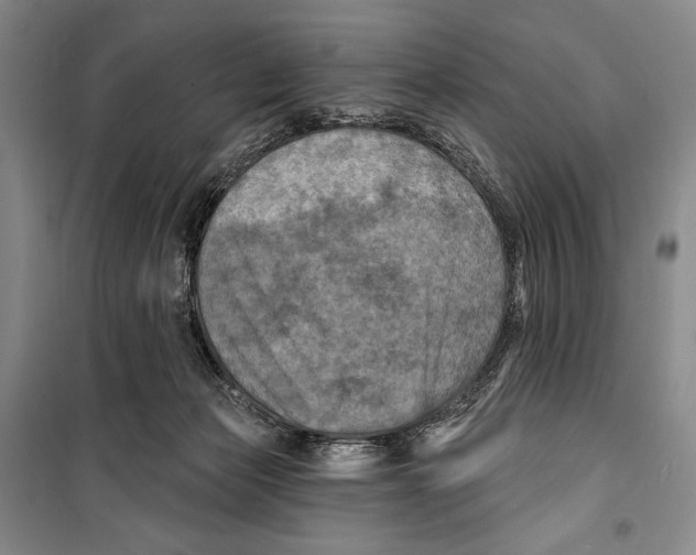 X0000099450173200806061114