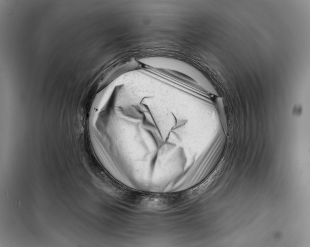 X0000099450174200806061114