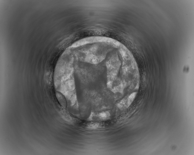 X0000099450177200806061114