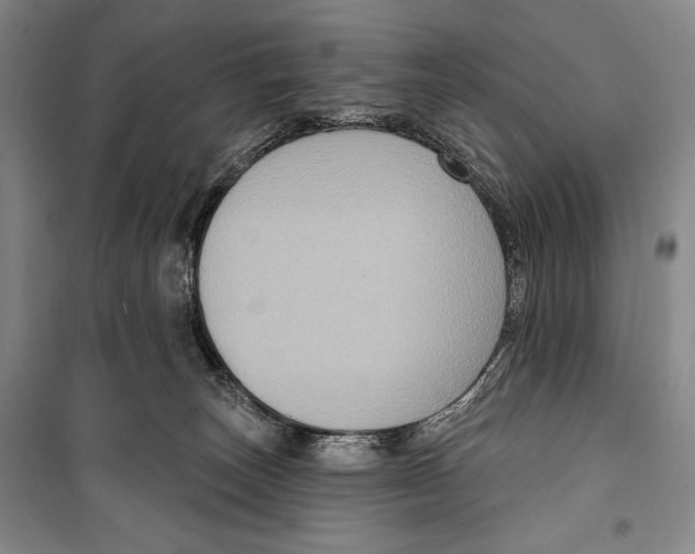 X0000099450179200806061114