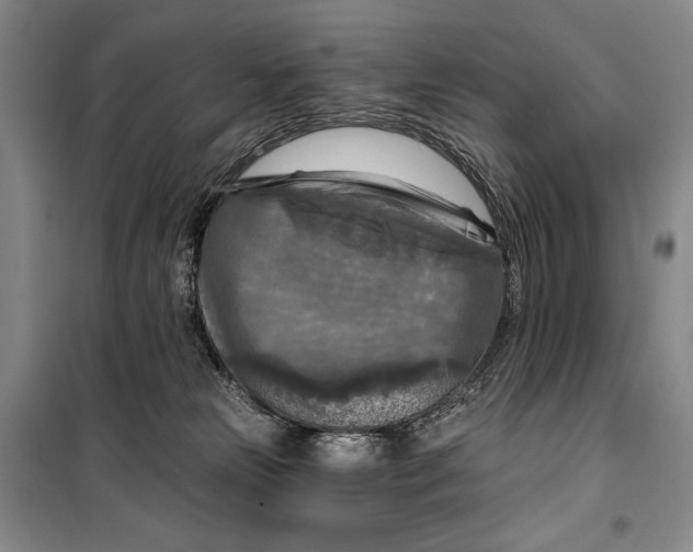 X0000099450181200806061114