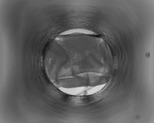 X0000099450182200806061114