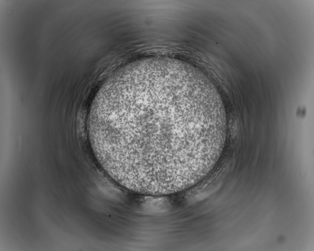 X0000099450185200806061114