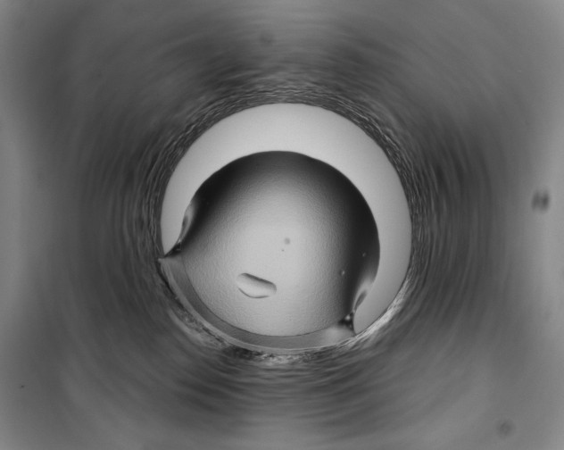 X0000099450186200806061114