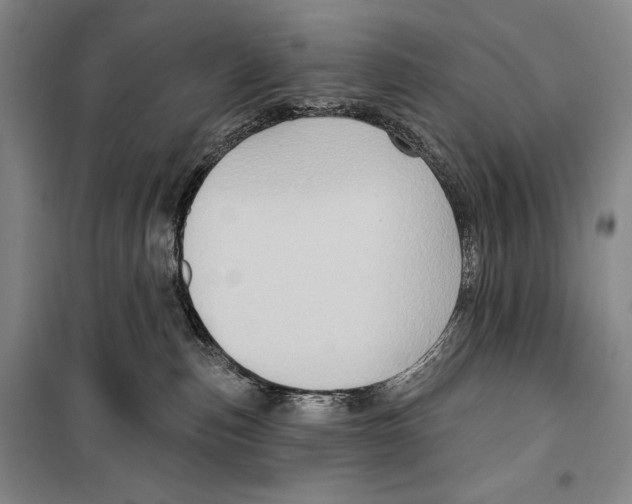 X0000099450187200806061114