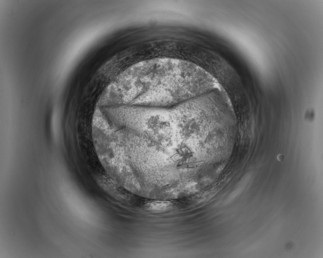 X0000099450189200806061114