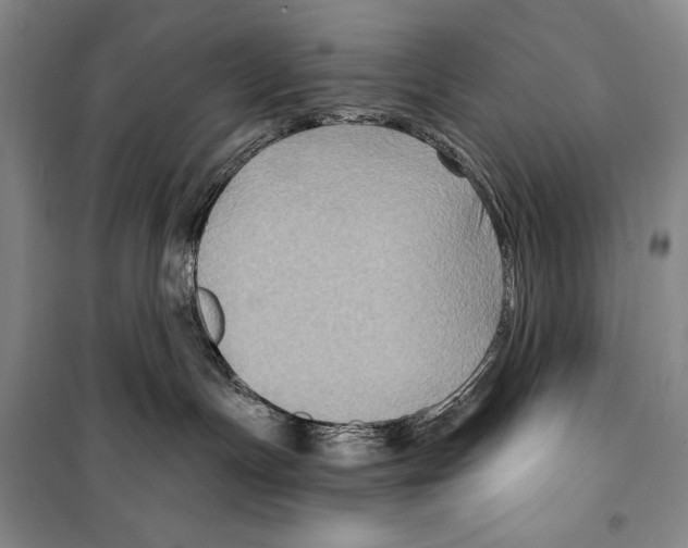 X0000099450191200806061114