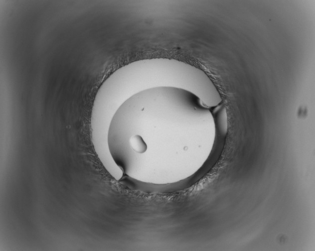 X0000099450192200806061114