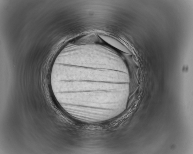 X0000099450193200806061114