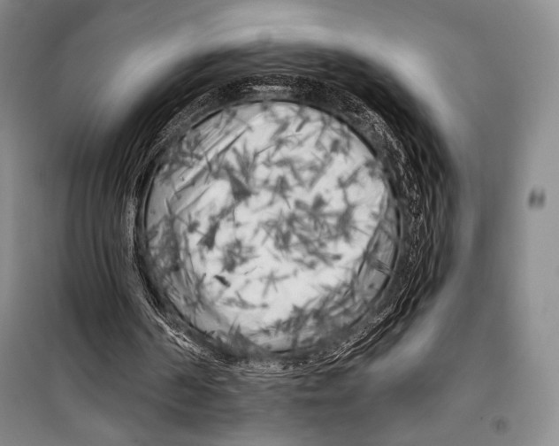 X0000099450194200806061114