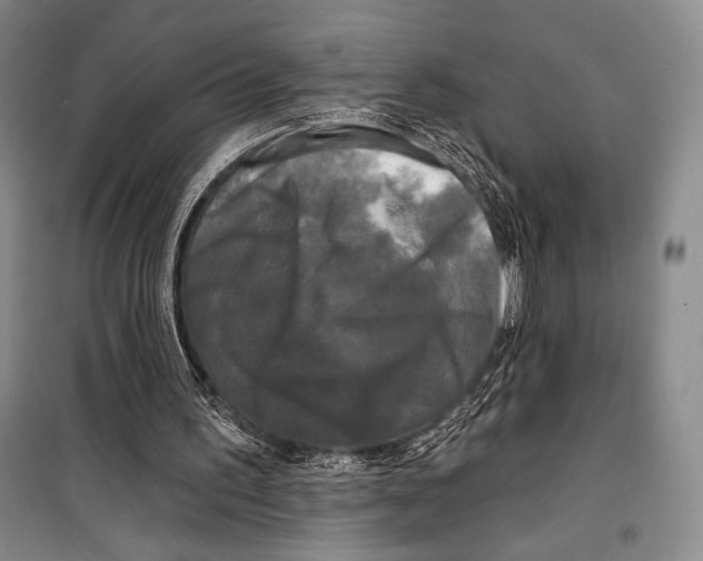 X0000099450195200806061114