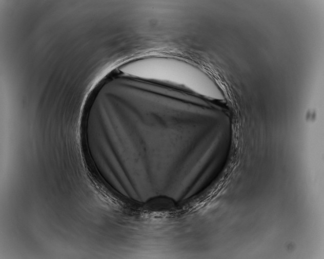 X0000099450196200806061114