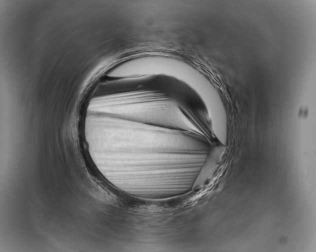 X0000099450197200806061114