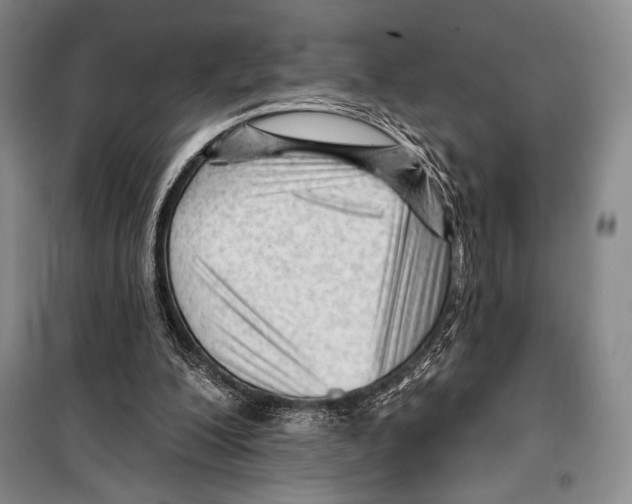 X0000099450200200806061114