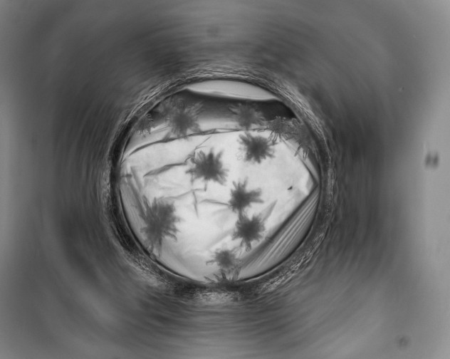 X0000099450202200806061114