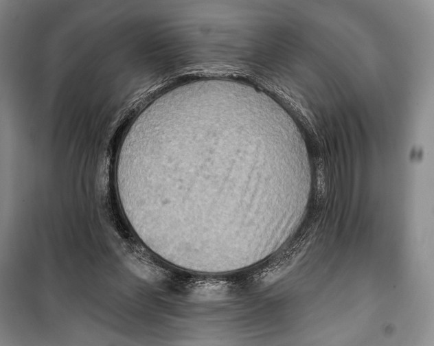 X0000099450206200806061113