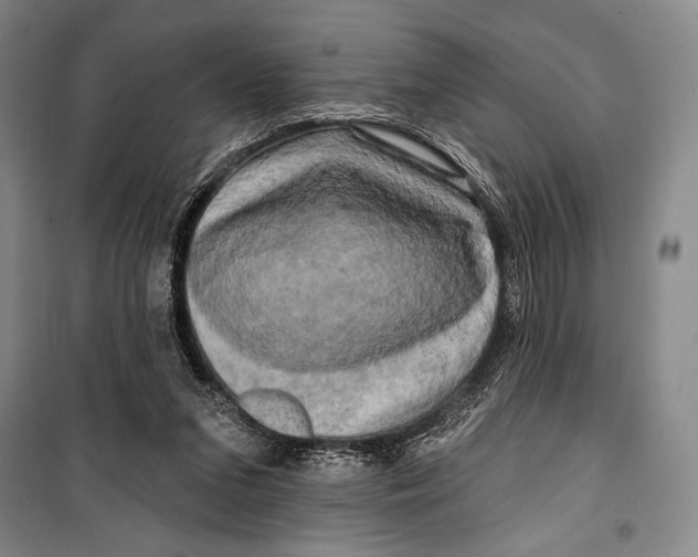 X0000099450207200806061113