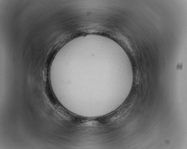 X0000099450210200806061113