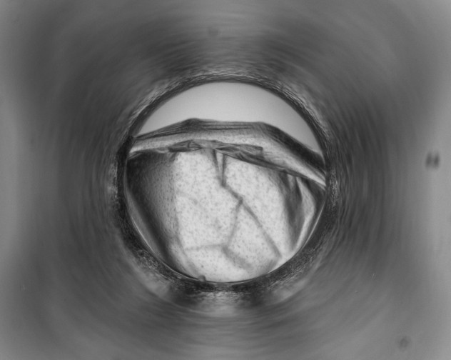 X0000099450212200806061113