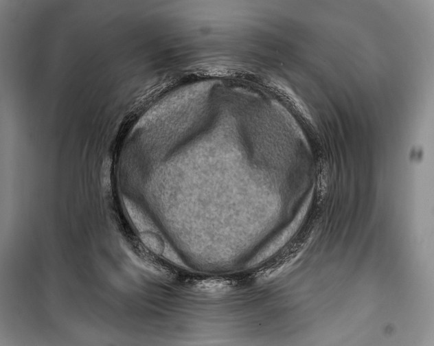 X0000099450213200806061113