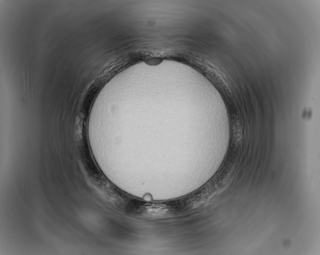 X0000099450214200806061113