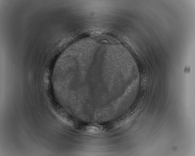 X0000099450215200806061113