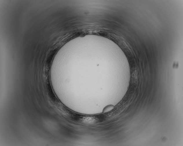 X0000099450218200806061113