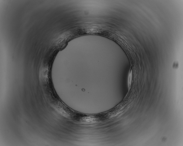 X0000099450219200806061113