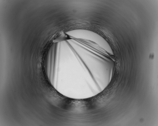 X0000099450221200806061113