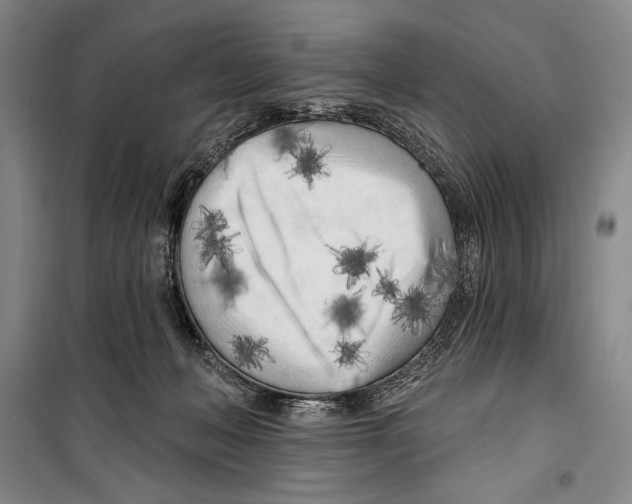 X0000099450222200806061113