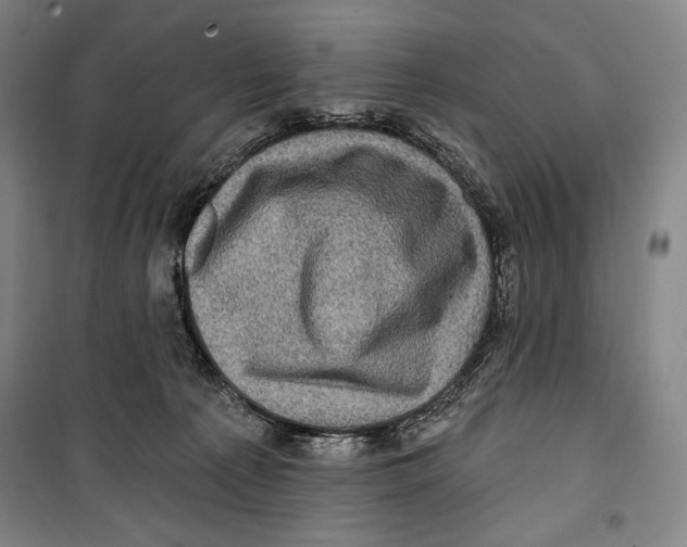 X0000099450225200806061113