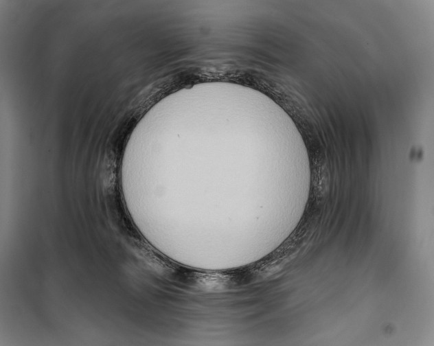 X0000099450226200806061113