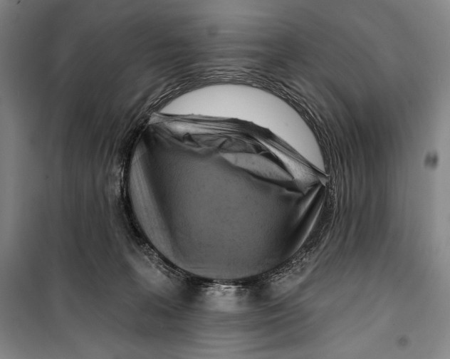 X0000099450227200806061113