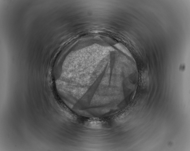 X0000099450228200806061113