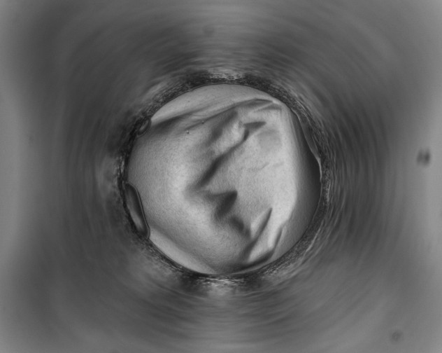 X0000099450229200806061113