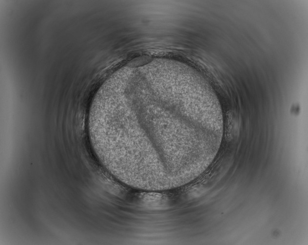 X0000099450230200806061113