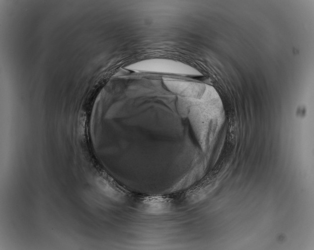 X0000099450231200806061113