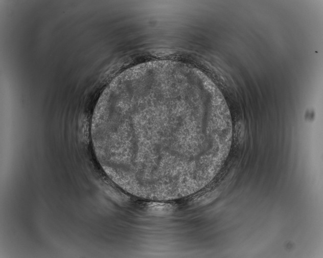 X0000099450234200806061113