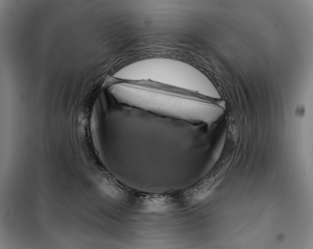 X0000099450235200806061113