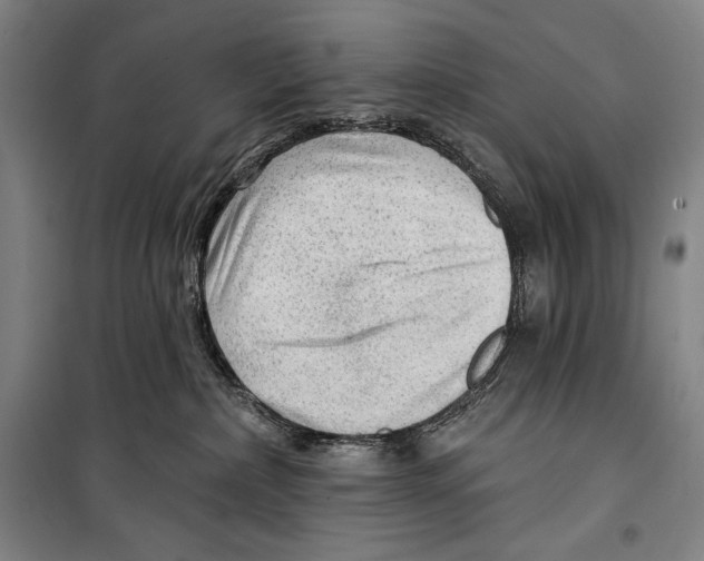 X0000099450236200806061113