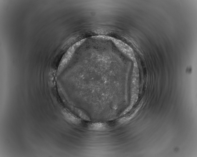 X0000099450237200806061113