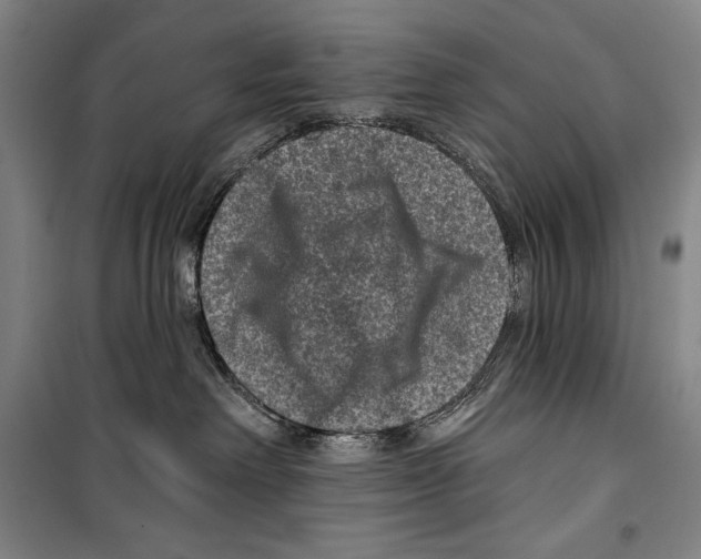 X0000099450238200806061113