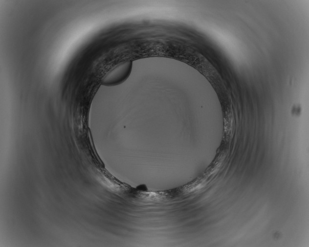 X0000099450239200806061113