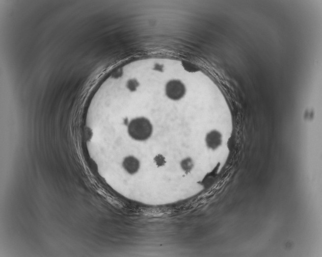 X0000099450241200806061112