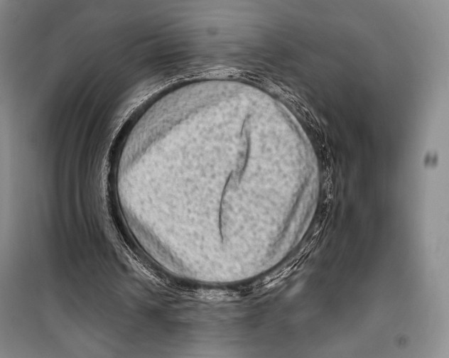 X0000099450242200806061112