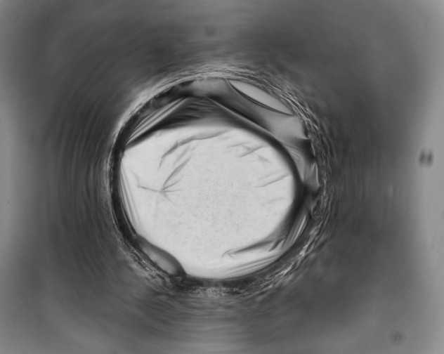 X0000099450244200806061112